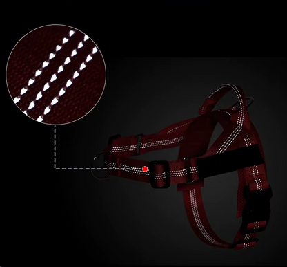 Kleurapet No Pull Dog Harness